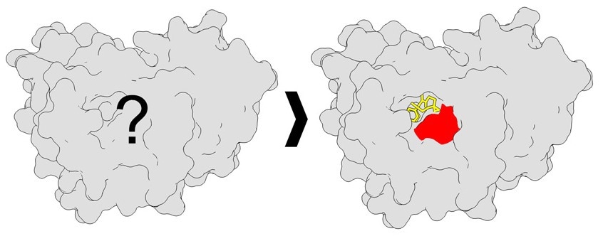 Improved Mapping of Small-Molecule Binding Sites in Cells