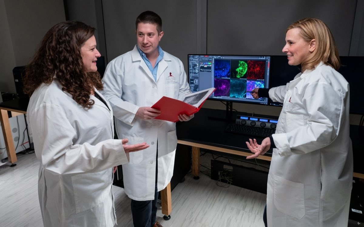 Unveiling Cytonemes, the Secret Messengers of the Nervous System