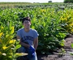Enhancing Photosynthesis Modulating Chlorophyll for Improved Crop Efficiency