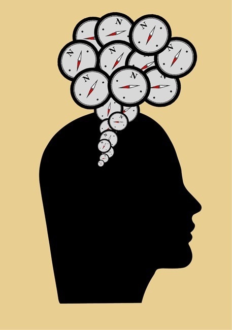 Brain