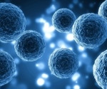AI Program Reveals Cellular Neighborhoods in Cancer Microenvironments