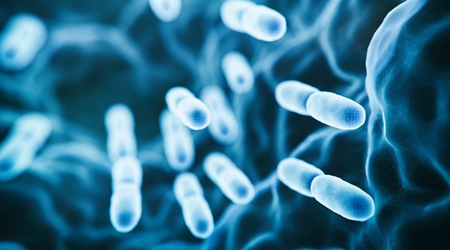 Key Cytokine Pairs Driving Sepsis Damage Identified