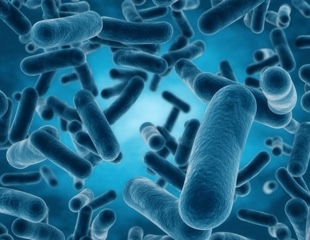 Bacterial “Barcode” Deciphers the Fate of Proteins, Impacting Pathogen Behavior