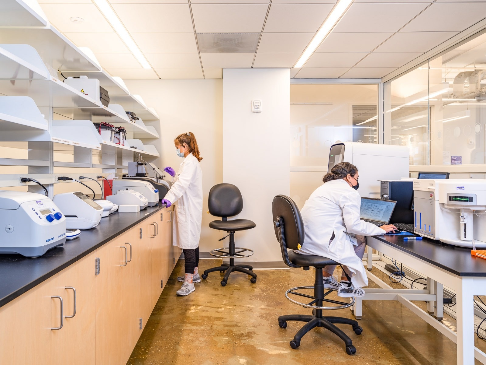 Shared King Lab. Image Courtesy of Biolabs@NYULangone