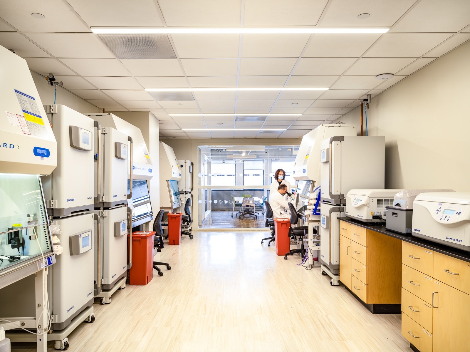Tissue Culture Room. Image Courtesy of Biolabs@NYULangone