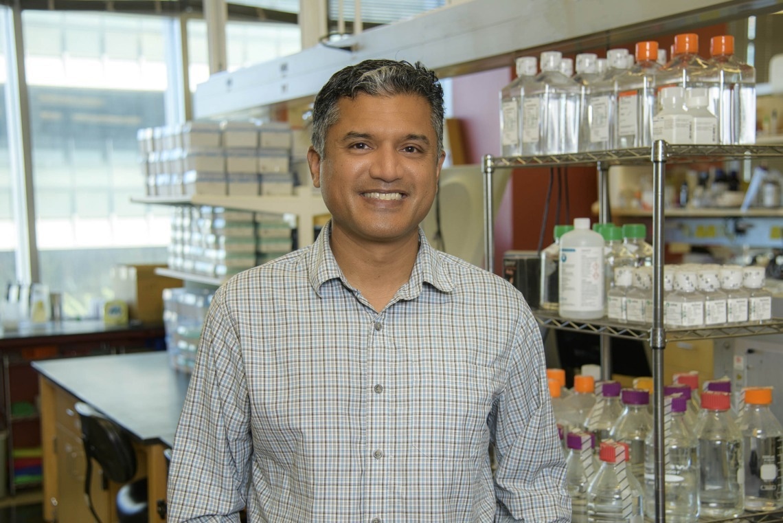 The Future of Pluripotent Stem Cell-Based Therapeutics in Regenerative Medicine