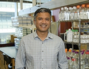Preventing Immunological Rejection Following Transplantation