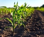 Quorum Bio: Where Synthetic Biology Meets Sustainable Farming