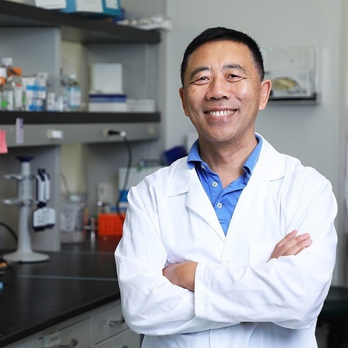 Boosting Central Memory T Cells with Targeted Protein Modulation