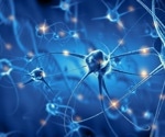 A New Tool for Monitoring Neuronal Inhibition