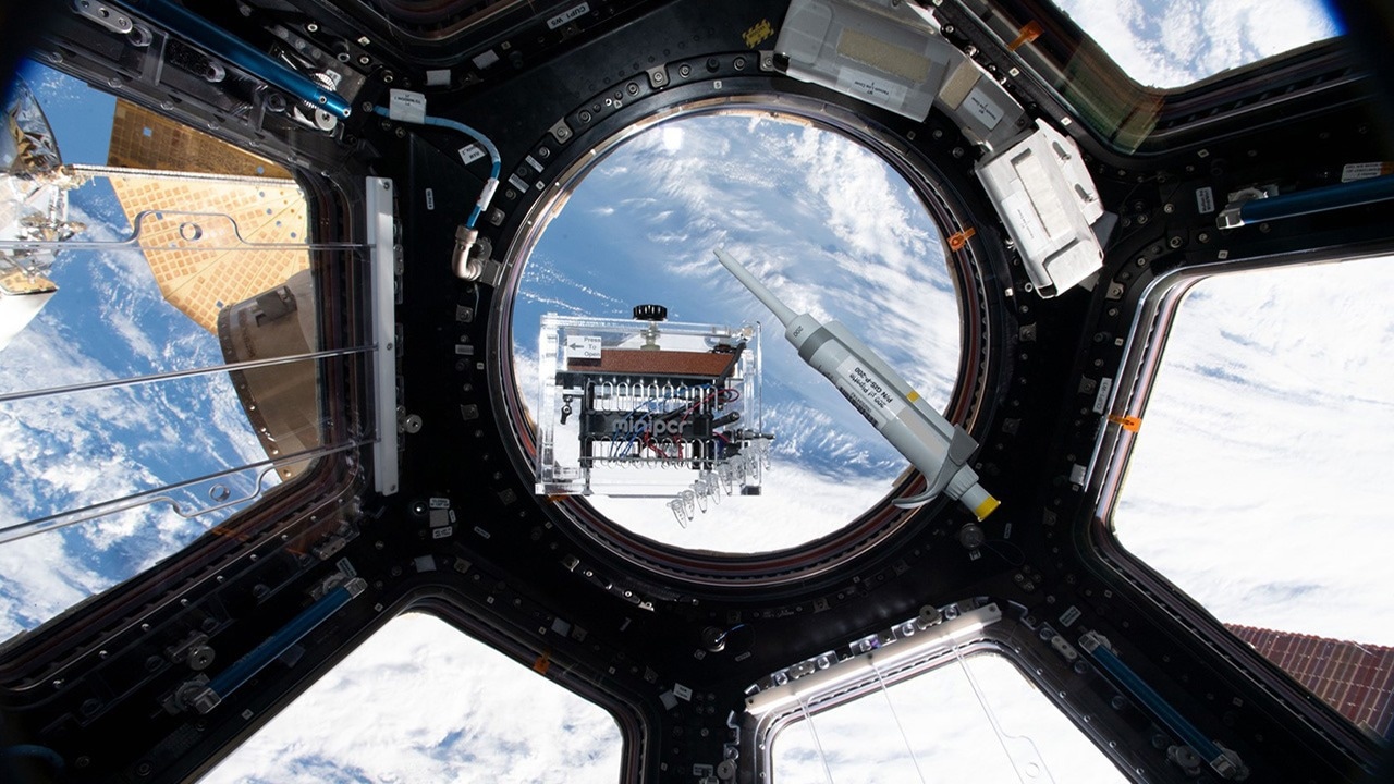 ISS National Lab-Sponsored Investigation Aims to Expand Genes in Space™ Toolkit on Station CAPE CANAVERAL (FL), January 24, 2024 – For nearly a decade, G