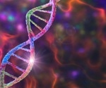 Promoter Mutations and Their Association with Autism Risk