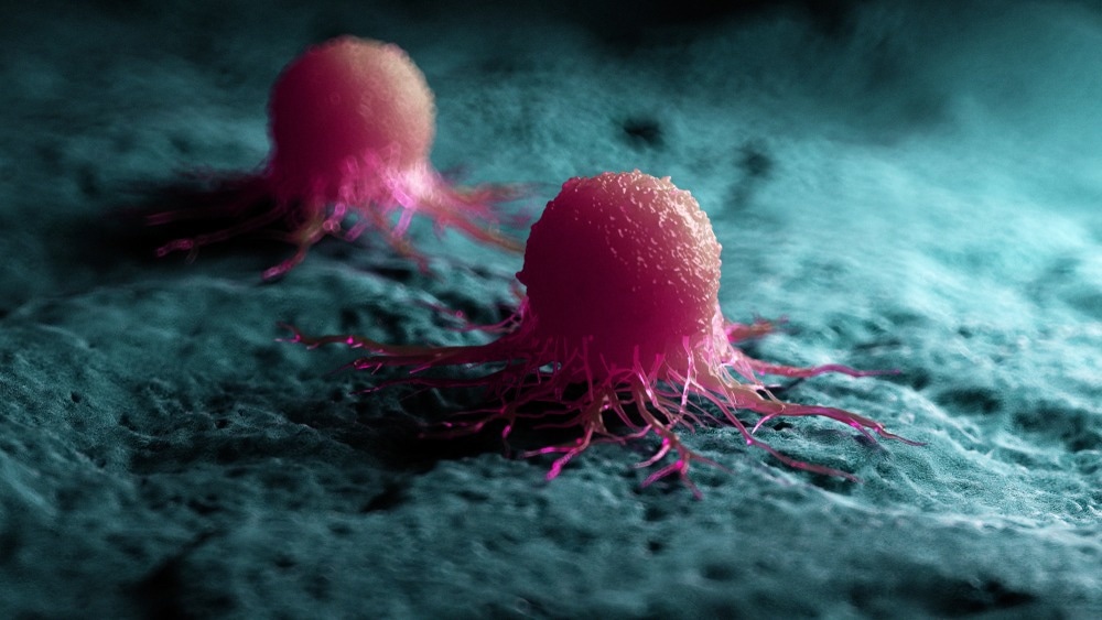 Image Credit: SciePro/Shutterstock.com