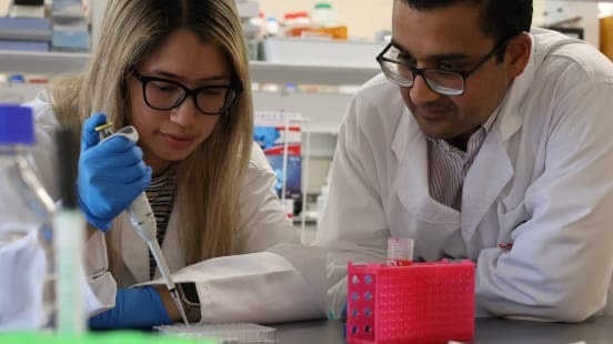 New Research Finds Placenta Cells May Lower Blood Pressure