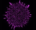 Bacteria Arrangement in Biofilm Influences Reaction to Antibiotics