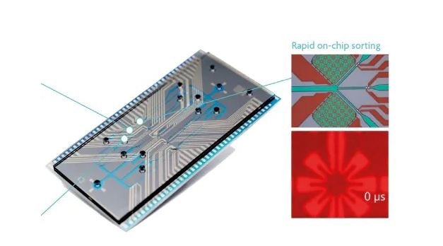 Imec
