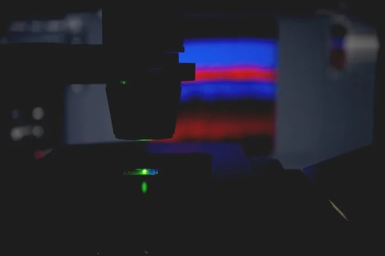 Investigating the Synaptic Imbalance in Retinal Nerve Cells Investigating the Synaptic Imbalance in Retinal Nerve Cells