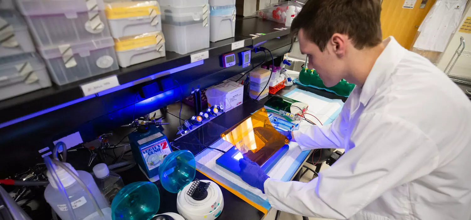 Accelerating Genetic Research - The Story Behind One-pot DTECT