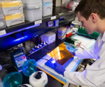 Accelerating Genetic Research - The Story Behind One-pot DTECT