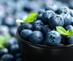 The Secret Behind A Blueberry's Iconic Blue Color