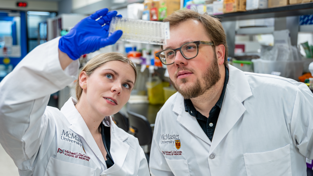 Exploring the Potential of Memory B Cells in Allergy Management