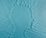 Shaping the Brain: Experience-Dependent Plasticity in Development, Learning and Memory