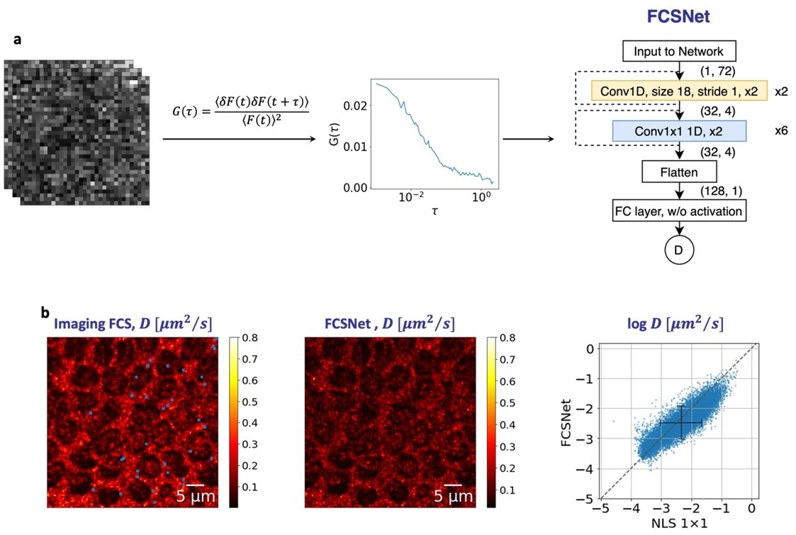 Applying Deep Learning to Molecular Imaging