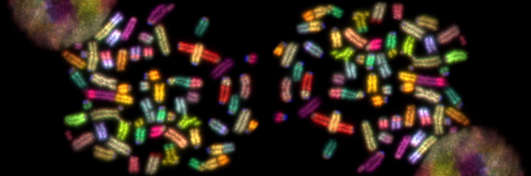 New Understanding of DNA Damage and Disease Risk