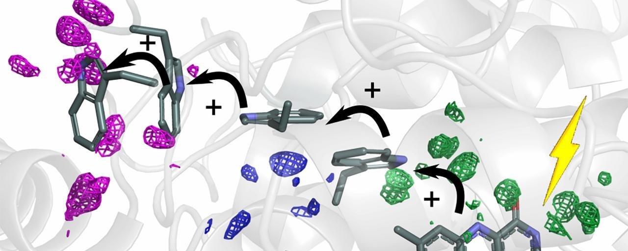 Scientists Crack Protein