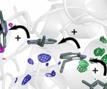 Scientists Crack Protein's Charge Transport Secret
