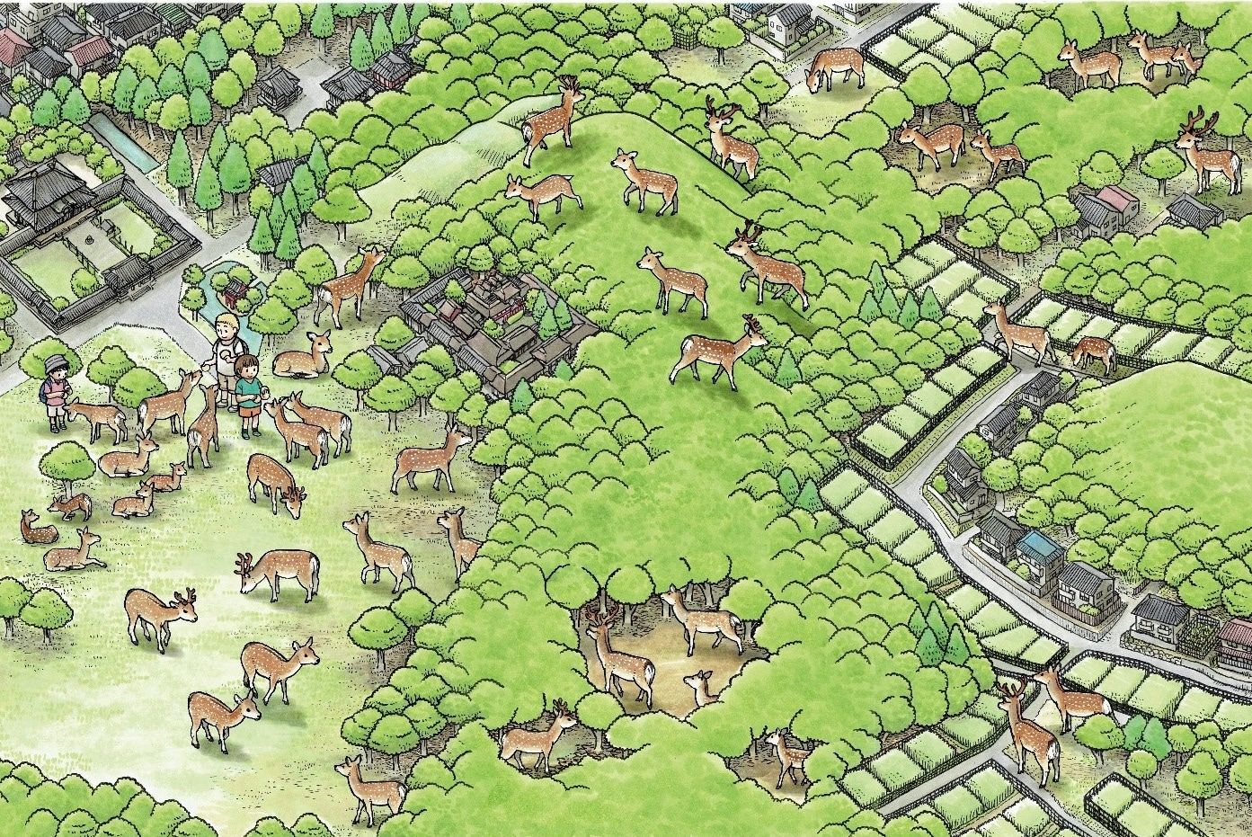Genetic Insights and Conservation Challenges of Nara