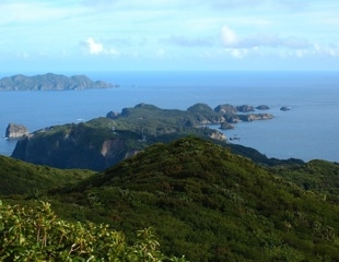 Insights From the Ogasawara Islands Biodiversity Study