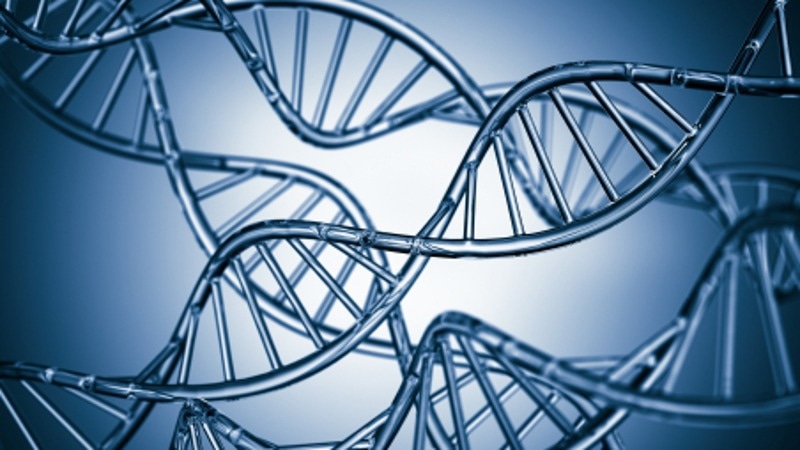 Positive Selection and Horizontal Gene Transfer in Microbial Communities