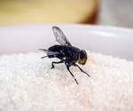 Unraveling the Complexities of Sugar Sensing in Insects
