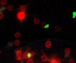 uLIPSTIC Tool: Tracking Cell-to-Cell Interactions