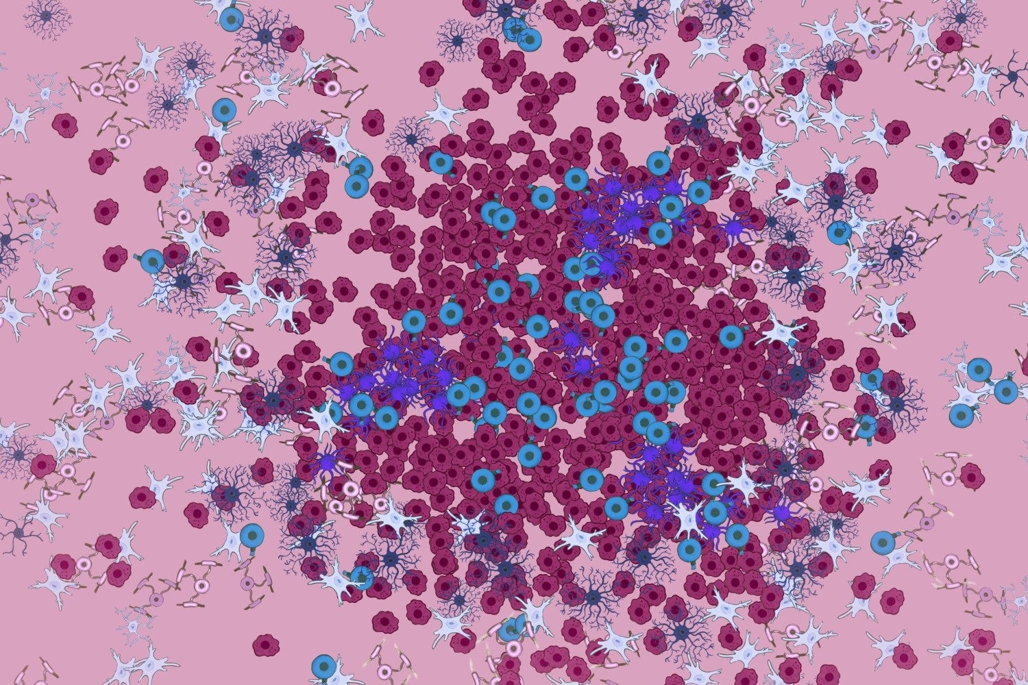 Decoding the Dynamics of Multiple Sclerosis Lesions