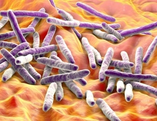 Enzymatic Cocktail Outperforms Antibiotics Against Mycobacteria, Including TB