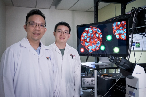 Tiny, Laser-Activated Droplets Could Be Used to Detect Biomarkers for Diseases