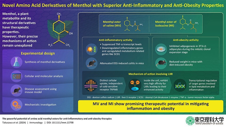 Unveiling the Anti-Inflammatory and Anti-Obesity Potential of Menthol-Derived Esters