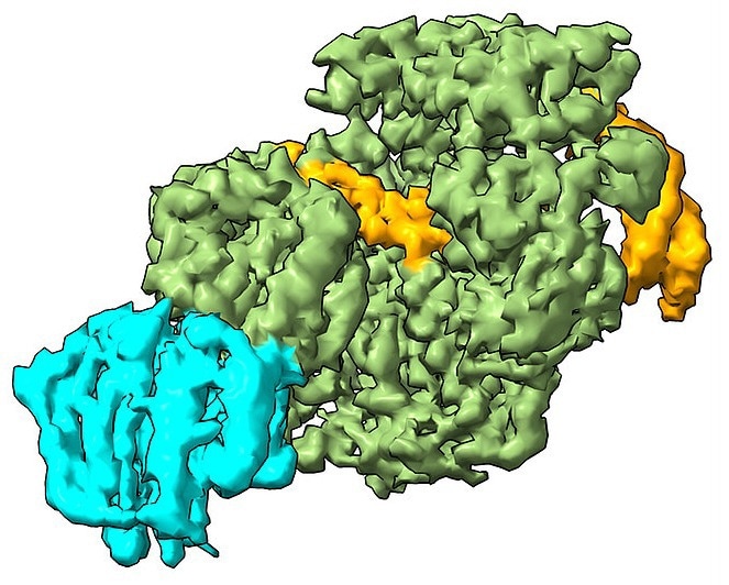 Unmasking XPD’s Mechanism in DNA Damage Detection and Repair