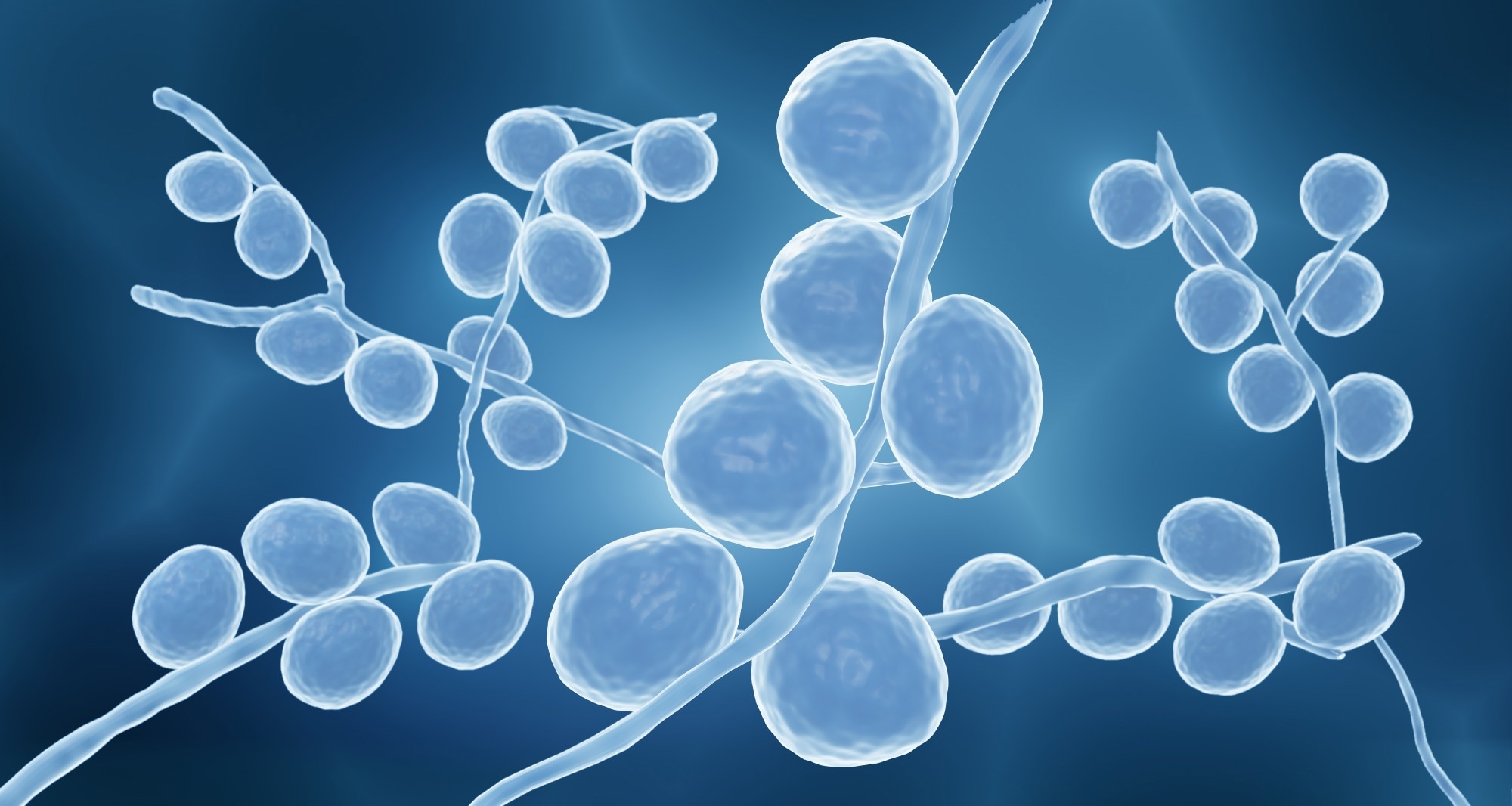 Infectious Pathogens