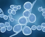 The Link Between Climate Change and Drug-Resistant Fungal Infections