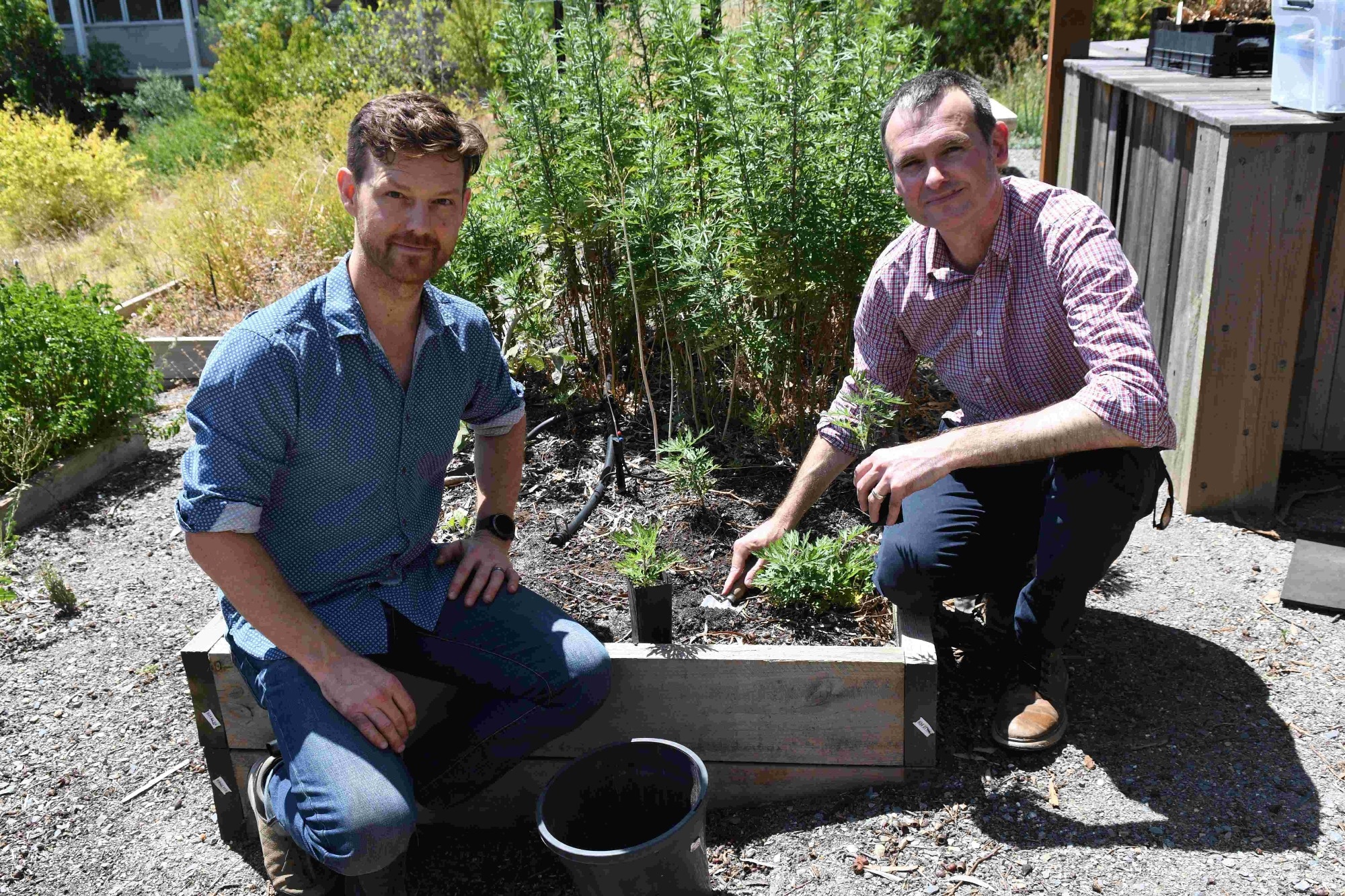 Study Provides a New Way to Measure Healthy Microbiomes in the Gut and Soil