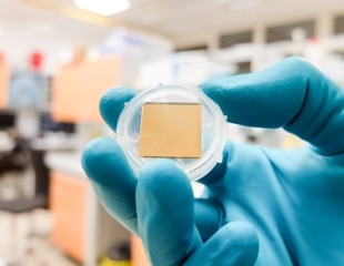Surface Plasmon Resonance Sensors: Transforming Drug Development and Clinical Diagnostics