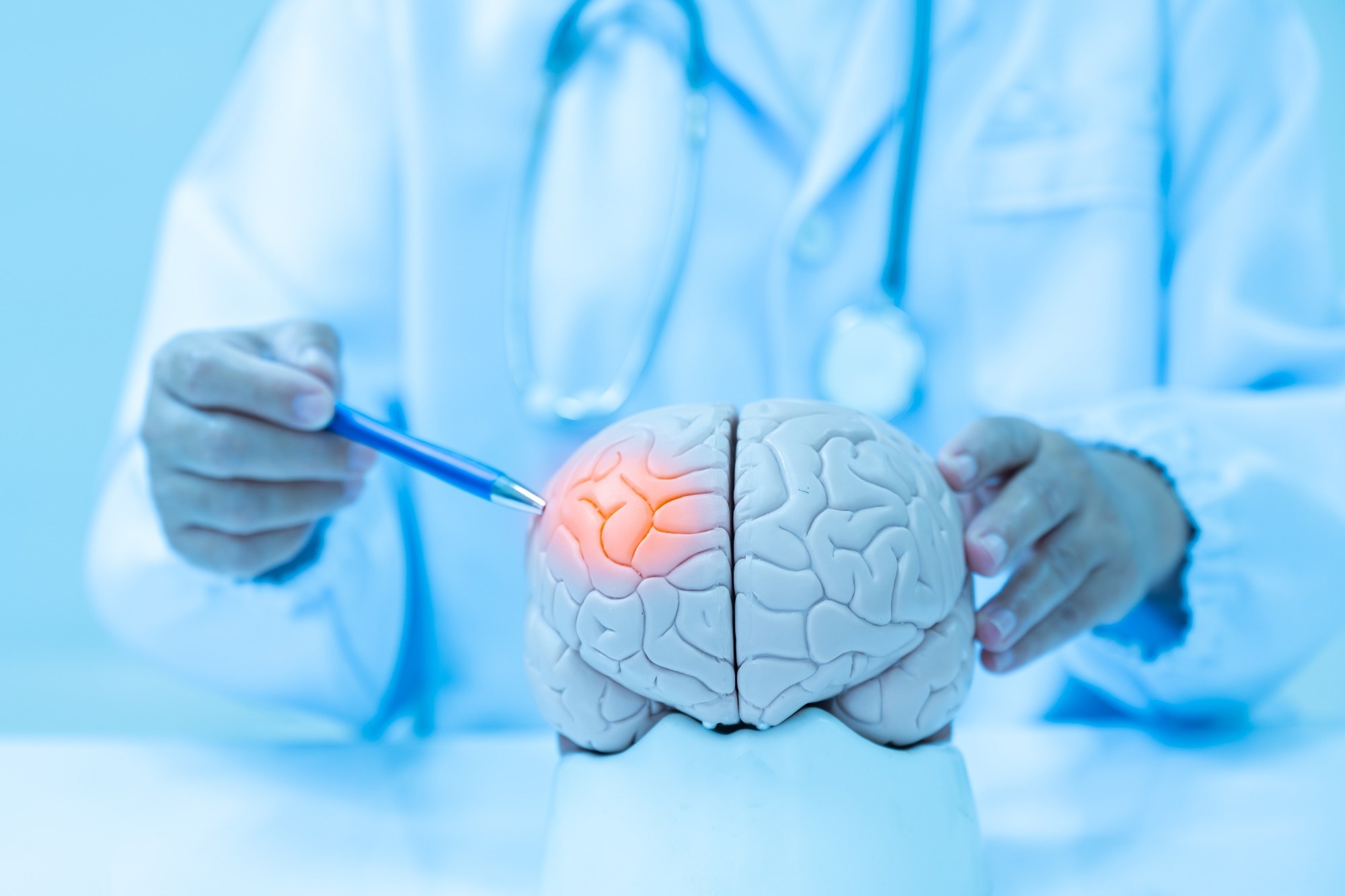 ​​​​​​​Study: The structural–functional-connectivity coupling of the aging brain. Image Credit: Komsan Loonprom/Shutterstock.com