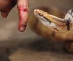 Researchers Discover Genes Key to Spitting Cobra Venom's Cytotoxicity