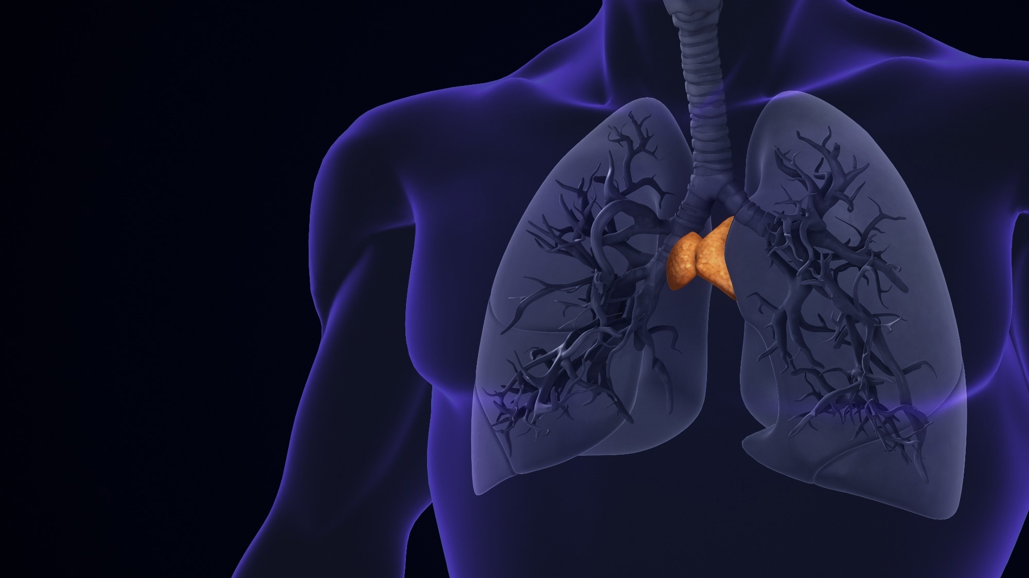 Study: Age-related epithelial defects limit thymic function and regeneration. Image Credit: Cinefootage Visuals/Shutterstock.com
