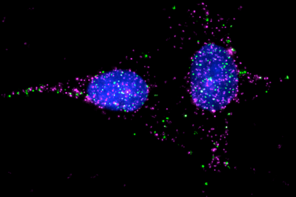 New Map Reveals Hidden Interactions Between Receptors and Proteins