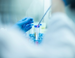 From Bone Regeneration to Heart Repair: Stem Cell Transplantation Paves the Way for New Medical Frontiers