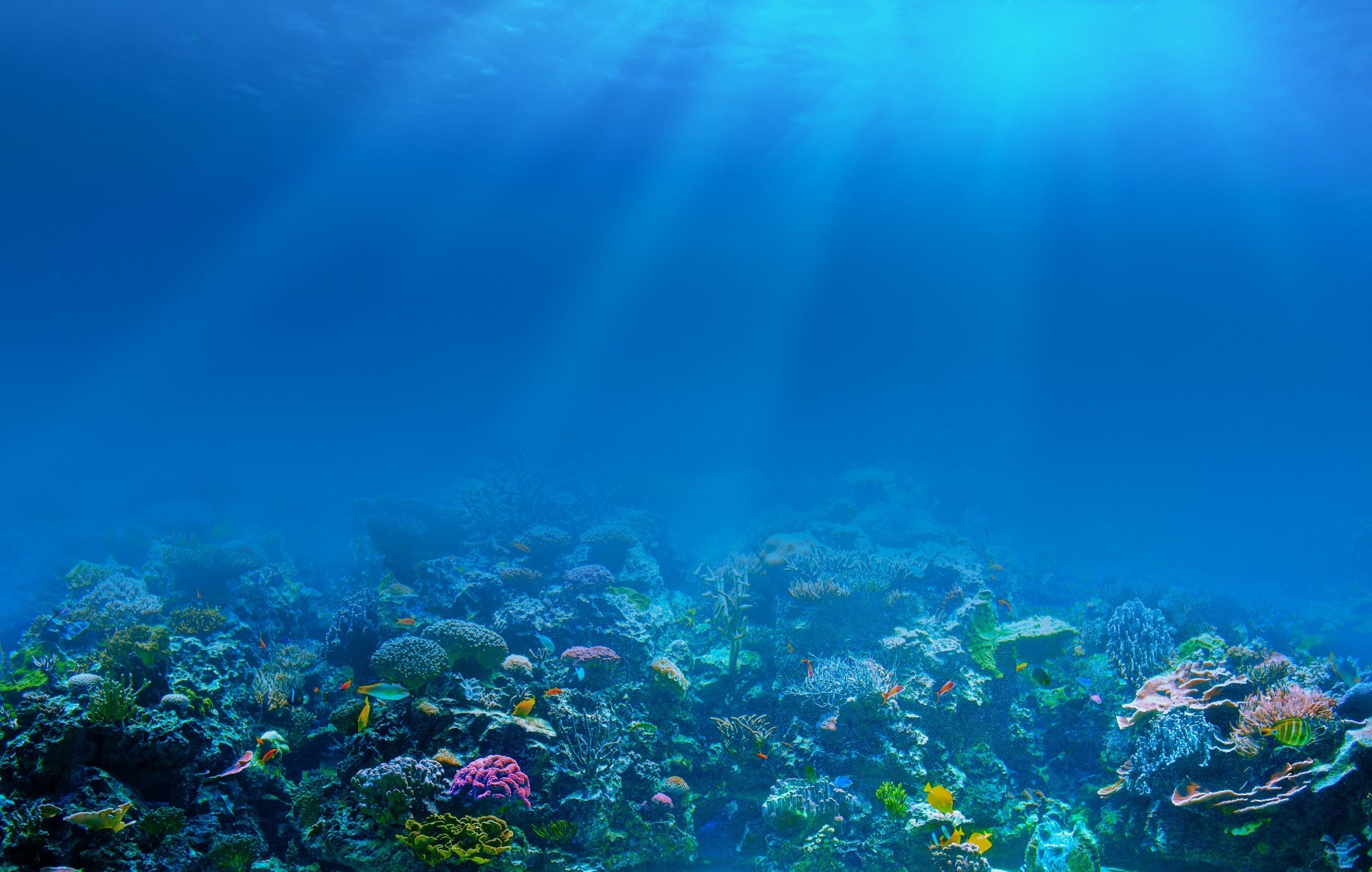​​​​​​​Study: Global marine microbial diversity and its potential in bioprospecting. Image Credit: Andrey_Kuzmin/Shutterstock.com